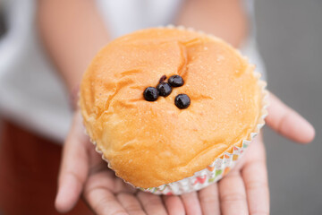 Freshly baked bun with chocolate chips