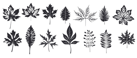 Wall Mural - Set of different leaves  botanical plant illustration in black white, generative ai