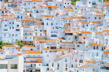 Poster - White houses in Casares Village, Andalusia