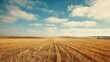 © Jiraporn - A wide view of a golden wheat field under a bright blue sky with scattered clouds, capturing the beauty of rural agriculture.