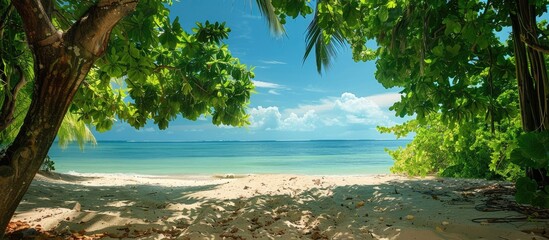 Poster - A serene beach scene with lush trees under a clear blue sky great for a copy space image