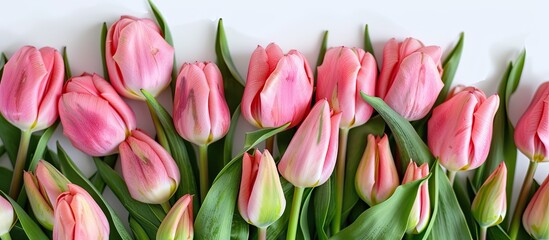 Sticker - Bouquet of pink tulips isolated on white background with copy space image