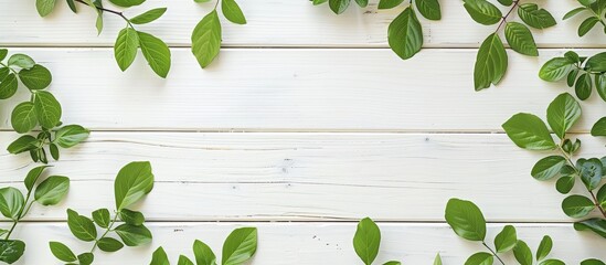 Wall Mural - a white wooden background with a touch of green leaves framing a copy space image