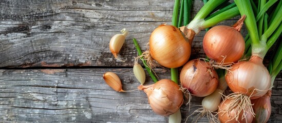 Sticker - Top down view of organic onions with green leaves on a weathered wooden surface featuring bulb onions and fresh spring greens ideal for a copy space image