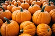 © Andrey - Autumn Harvest: Large Collection of Pumpkins