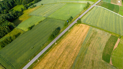 Wall Mural - Aerial view of road through fields. Agriculture green fields and road. aerial view of farm land