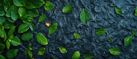 Canvas Print - Top view of green leaves on a paved surface with a flat lay style and copy space image available