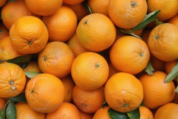 Wall Mural - Florida Oranges. Fresh Citrus from Orange Grove in Agricultural Farming