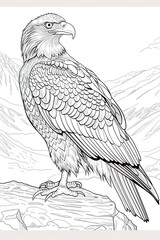 Canvas Print - sketch of eagle