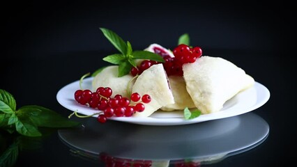 Wall Mural - steamed sweet homemade dumplings with berries, red currants