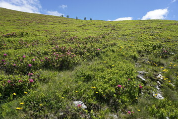 Hiking Vacation in Austria