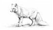 © Montri - Detailed black and white illustration of an arctic fox standing on the ground. Perfect for wildlife art and nature enthusiasts.