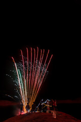 Poster - fireworks in the night sky