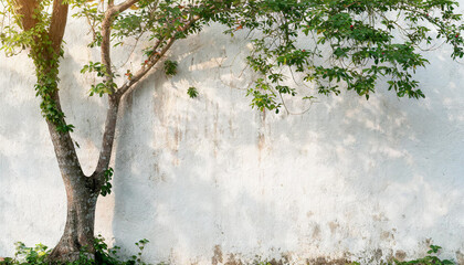 Wall Mural - table and chairs sitting in front of a wall with a shadow of a tree on it and a potted plant