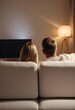 © abu - Back view of adult couple watching TV at home while sitting on sofa, night time,