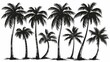 © Nicholas - A hand-drawn illustration of a group of palm trees in silhouette against a white background, showing an artistic representation with a classic and timeless aesthetic style.