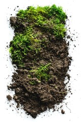 Poster - A small plant grows out of a pile of dirt, surrounded by natural surroundings