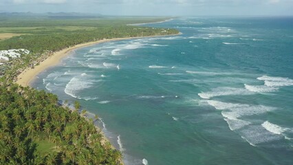 Poster - Pristine and bounty tropical shore with coconut palm trees and azure caribbean sea. Beautiful landscape. Aerial view from drone