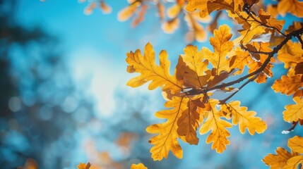 Poster - The orange autumn leaves