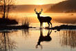 © aziseptian - Silhouette of a deer on a crystal clear lake with reflection at sunset