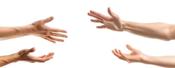 Set of Hands Isolated on a Transparent Background