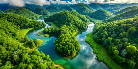 Stunning aerial view of a lush green river valley with winding waterways, dense forests, and rolling hills under a bright sky.
