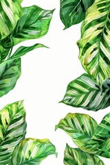 Poster - A painting of a leafy green plant with a white background