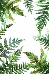 Poster - A painting of green leaves with a white background