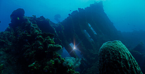 Wall Mural - Underwater photography of the spooky USS Liberty shipwreck from the second world war WWII. From a scuba dive off the coast of Bali.