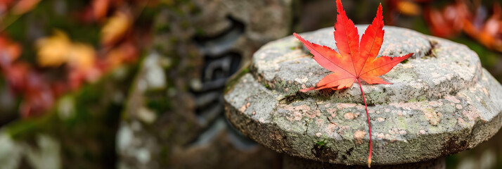 Wall Mural - Vibrant Red Maple Leaf Falling Against Stone Lantern in Autumn, Japan