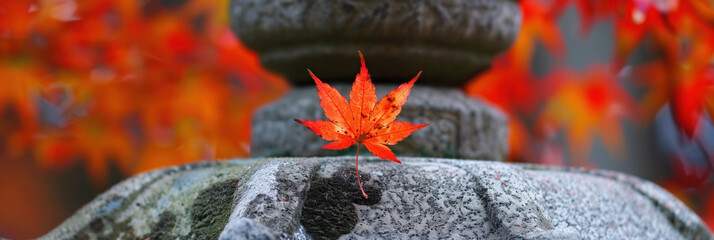 Wall Mural - Scenic Japan: Falling Red Maple Leaf by Traditional Stone Lantern