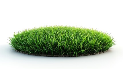 A lush patch of green grass isolated on a white background.