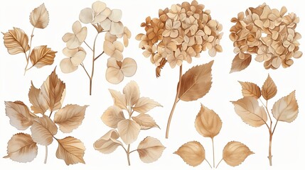 Wall Mural - A set of dried flowers in various stages of wilting