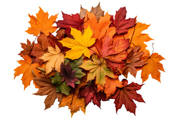 Wall Mural - High-resolution leaves pile top view PNG with transparent background for creative design projects, nature-themed illustrations, and seasonal graphics