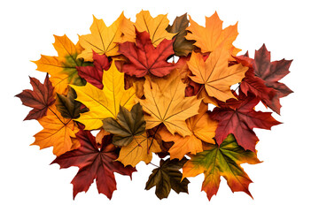 Wall Mural - High-resolution leaves pile top view PNG with transparent background for creative design projects, nature-themed illustrations, and seasonal graphics