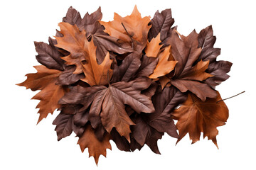 Wall Mural - High-resolution leaves pile top view PNG with transparent background for creative design projects, nature-themed illustrations, and seasonal graphics