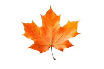 Wall Mural - maple autumn leaf png illustration with transparent background, perfect for seasonal designs, fall-t