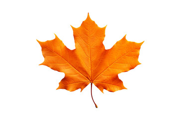 Wall Mural - Maple autumn leaf PNG style with transparent background for seasonal design projects, fall decorations, nature-themed illustrations, and digital artwork