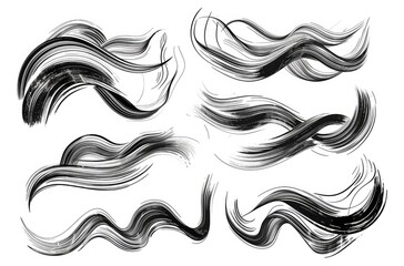 Canvas Print - Set of Abstract Black Ink Brush Strokes