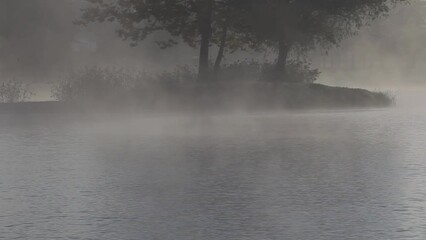 Wall Mural - Lake's coast with trees in thick morning fog, the Soderica Lake in Croatia