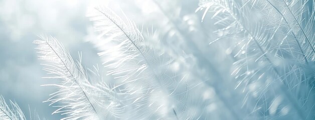 Poster - Gentle Blue Feather Texture for Calming Backgrounds