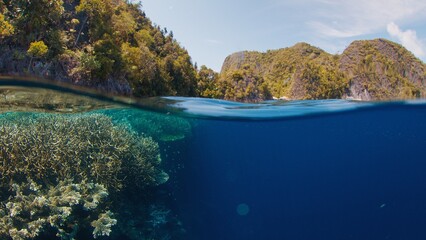 Poster - Splitted view of the coral reef in the tropical sea in Indonesia