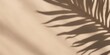 © Planetz - Palm Tree Shadow on Sand,  tropical leaves silhouette shadow on beige backgrou