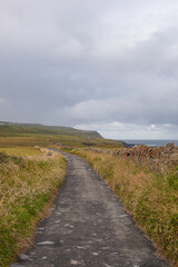 Canvas Print - road to the beach