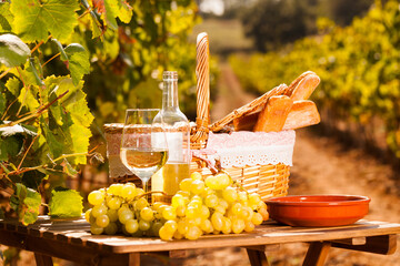 Wall Mural - Glass of white wine ripe grapes and picnic basket on table in vineyard