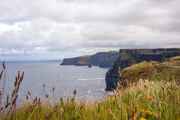 Sticker - cliffs of moher coastal walk