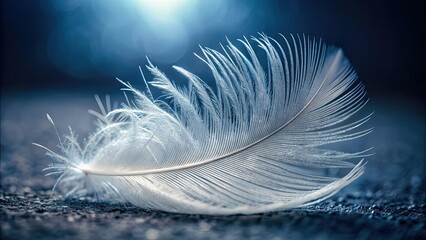 Sticker - Close-up of a single feather showcasing delicate structure and soft interlocking fibers, Feather, Close-up, Delicate