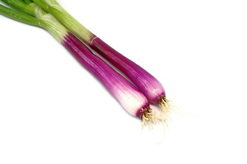 Wall Mural - Red onions isolated on white background. Fresh green onion feathers.