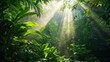 © TripleX - Serene Greenery: Sunlight Filtering Through Lush Forest Canopy