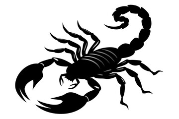 Wall Mural - scorpion silhouette vector artwork illustration 